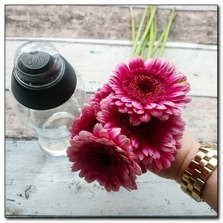 Gerbery to piękne kwiaty i świetnie nadają się na prezent, tak jak butelka z filtrem Dafi